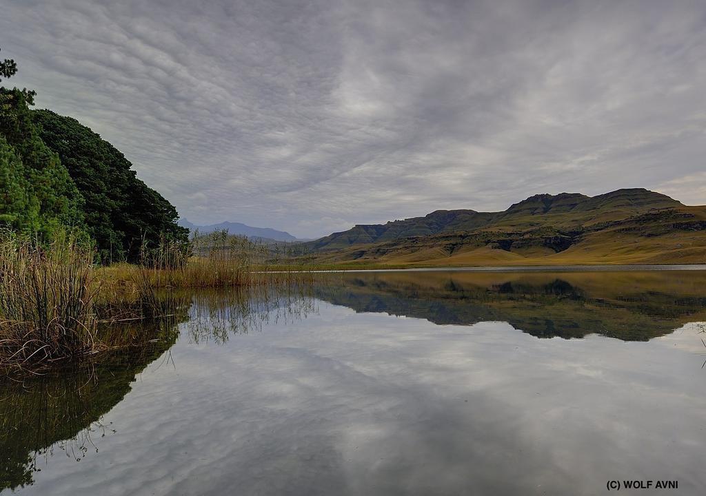 Giantscup Wilderness Reserve 安德伯格 外观 照片