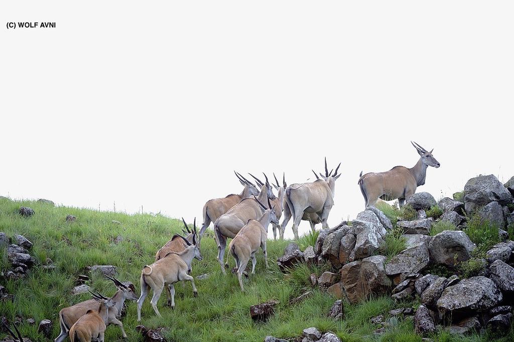 Giantscup Wilderness Reserve 安德伯格 外观 照片