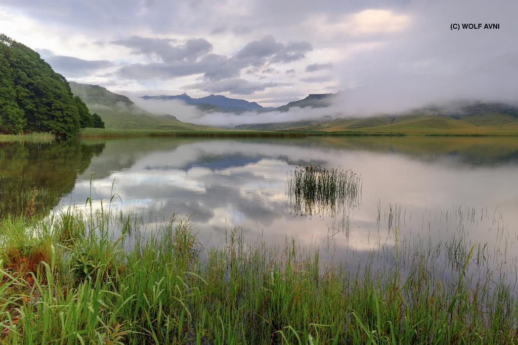Giantscup Wilderness Reserve 安德伯格 外观 照片