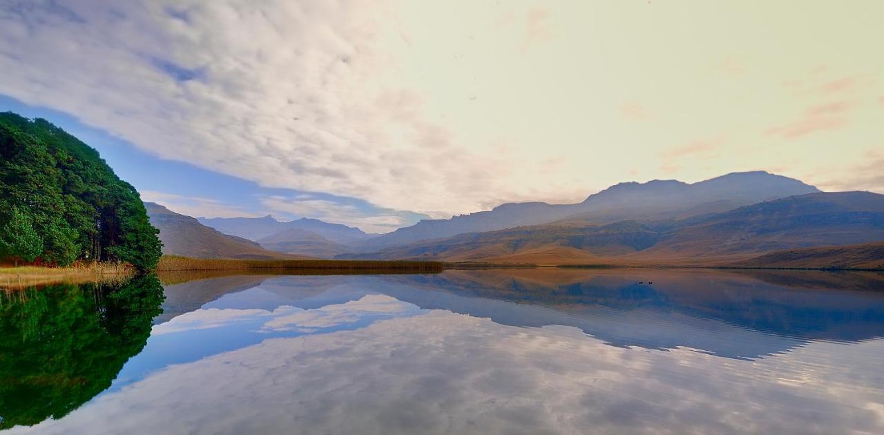 Giantscup Wilderness Reserve 安德伯格 外观 照片